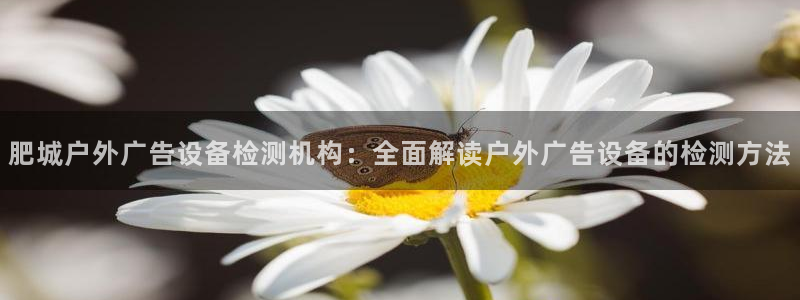 杏宇平台代理怎么样可靠吗